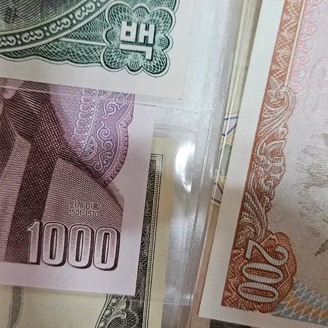 Pokka 8-Digit Bill (Junjun Solid Bill) Official