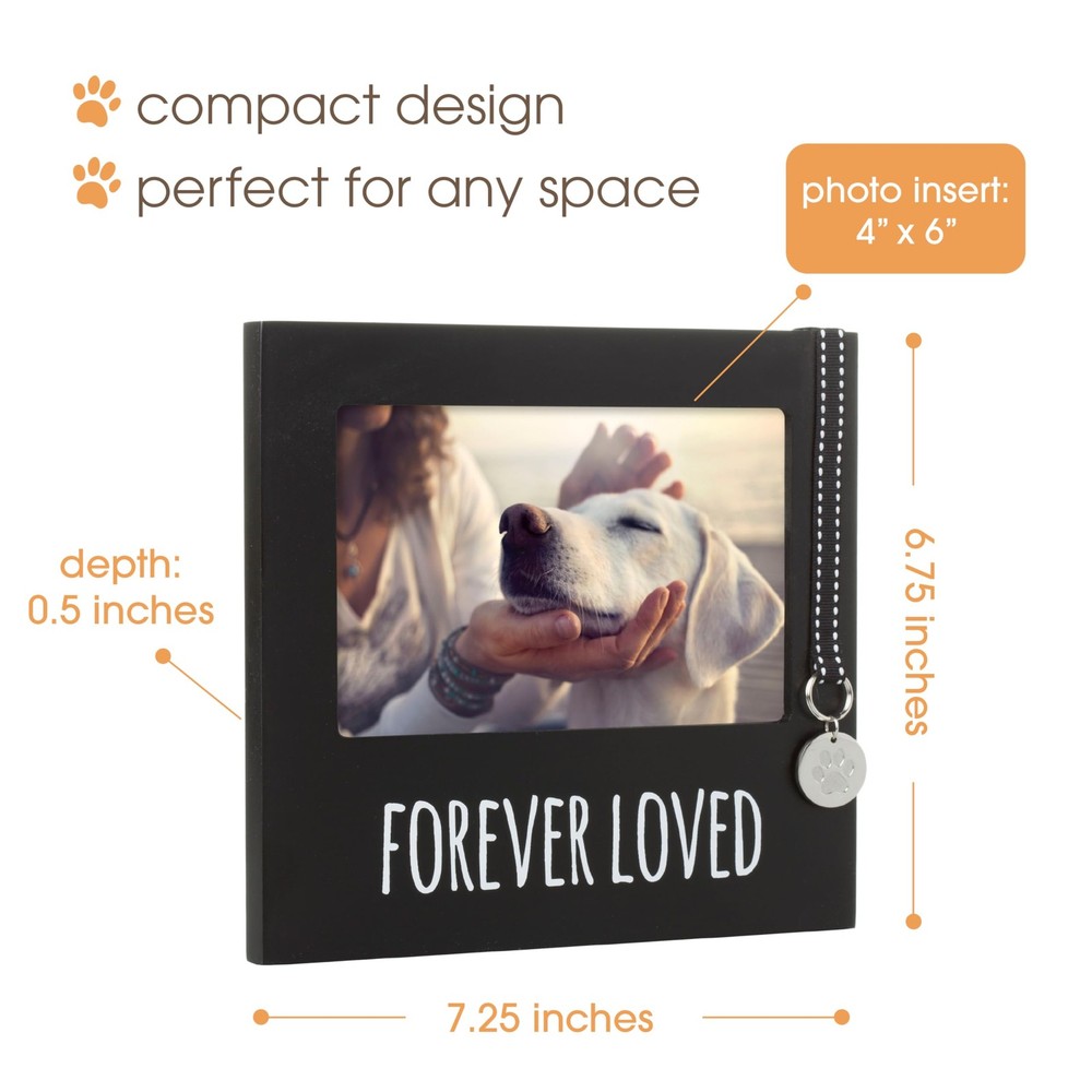 Pearhead Forever Loved pet Memorial Collar Frame, Frame