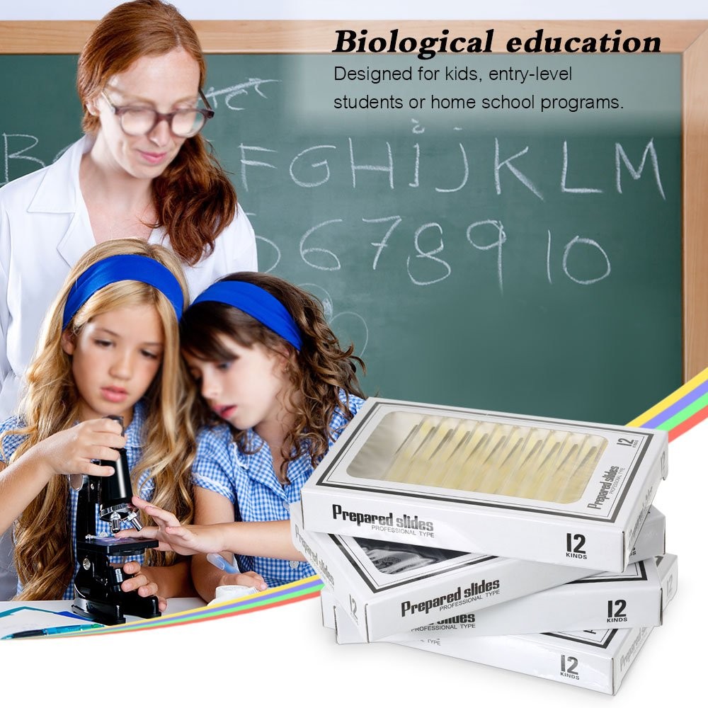 Prepared Plastic Microscope Slides with Specimens for Kids, Microscope Sample Sl