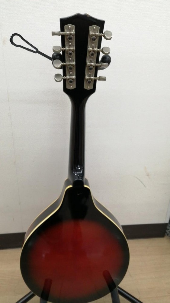JAGARD Mandolin