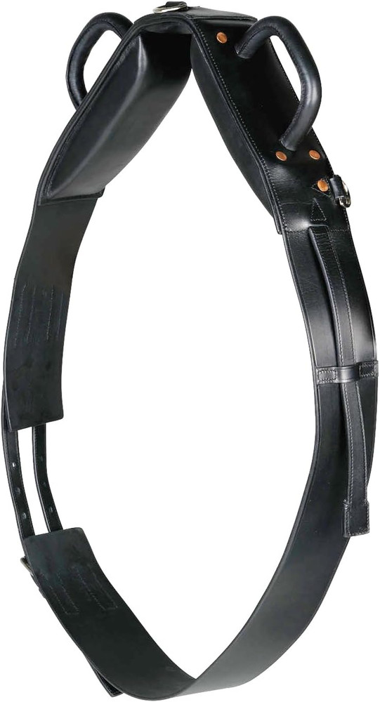 Vaulting Surcingle