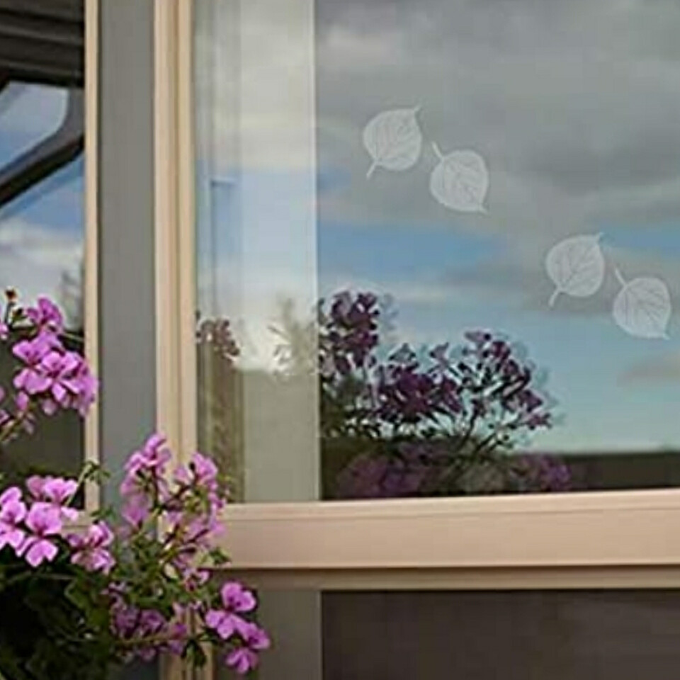 Window Alert ANTI-COLLISION CLINGS ASPEN LEAF DECALS PREVENT BIRD WINDOW STRIKES