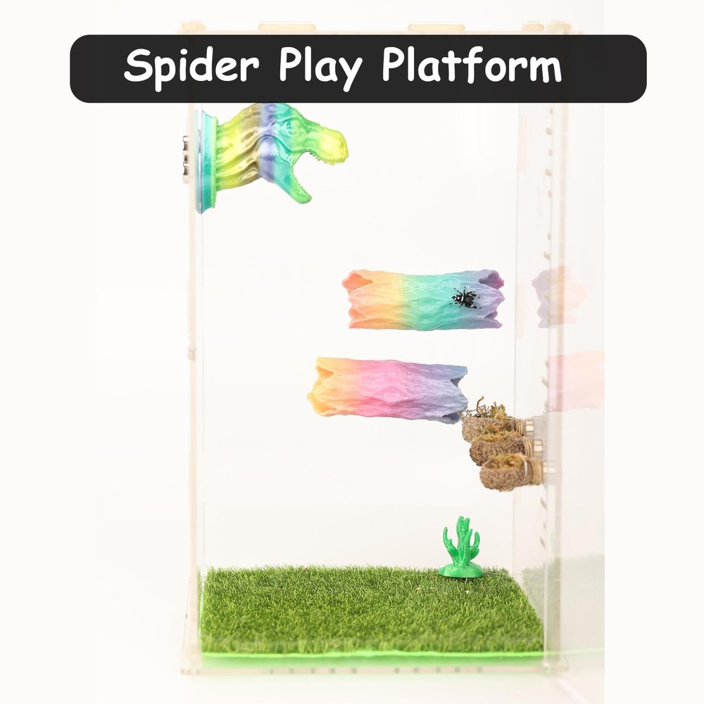 Jumping Spider Hide, Hiding cave, Tree Wood color