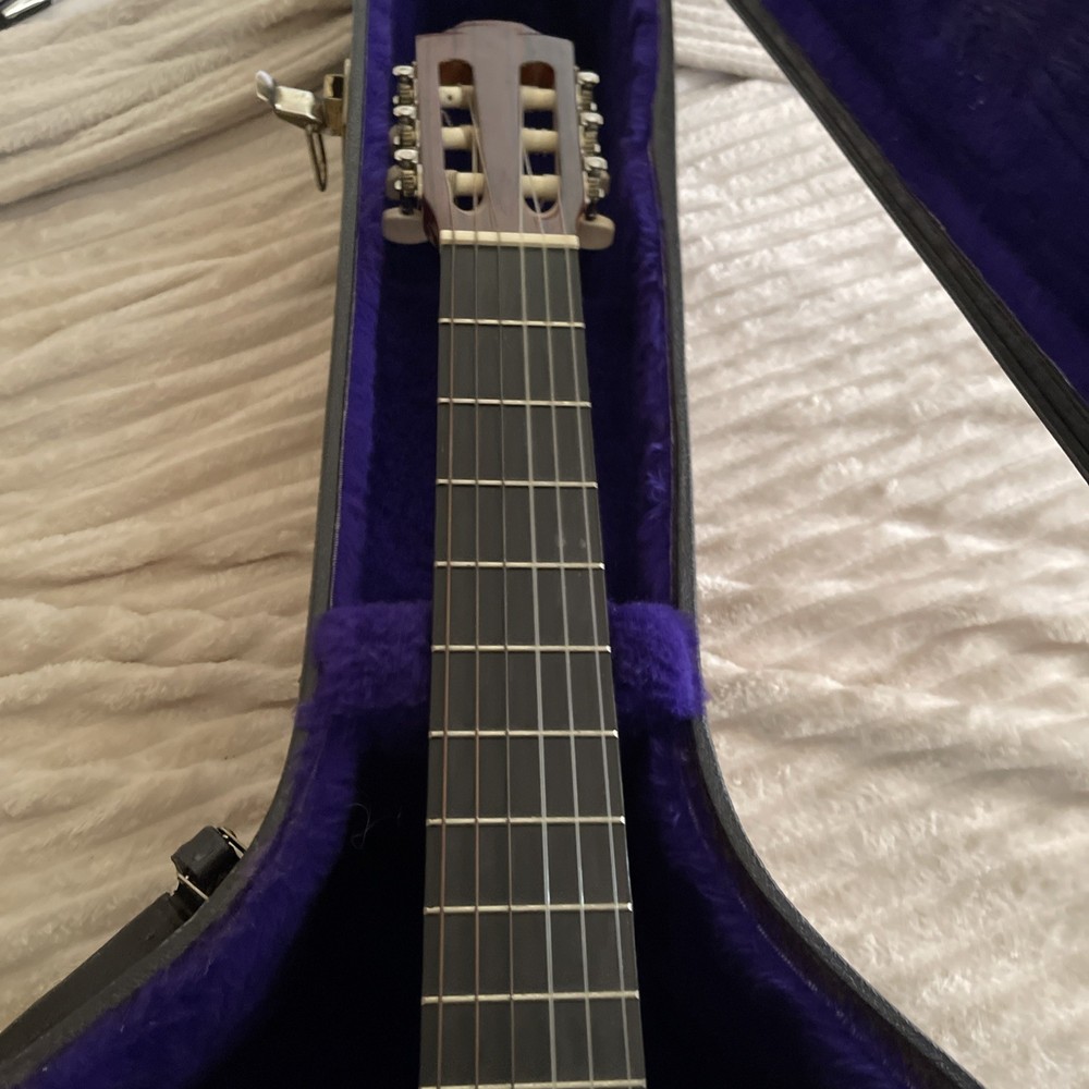 Horner Acoustic Guitar HC06