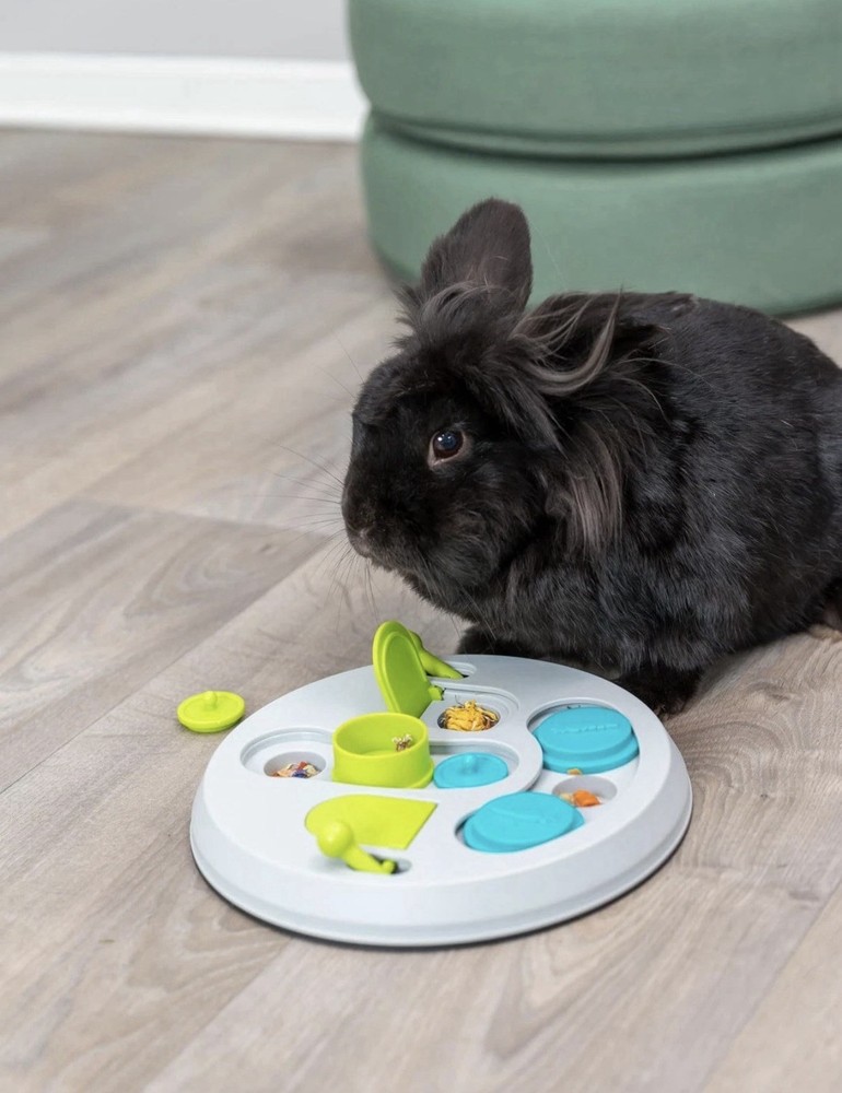 Interactive Rabbit Toy for Small Animals - Mental Stimulation Enrichment
