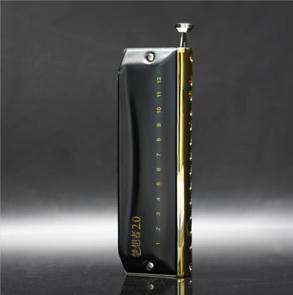 EASTTOP Updated Version Chromatic Harmonica Key C 12Hole Mouth Organ Harmonica