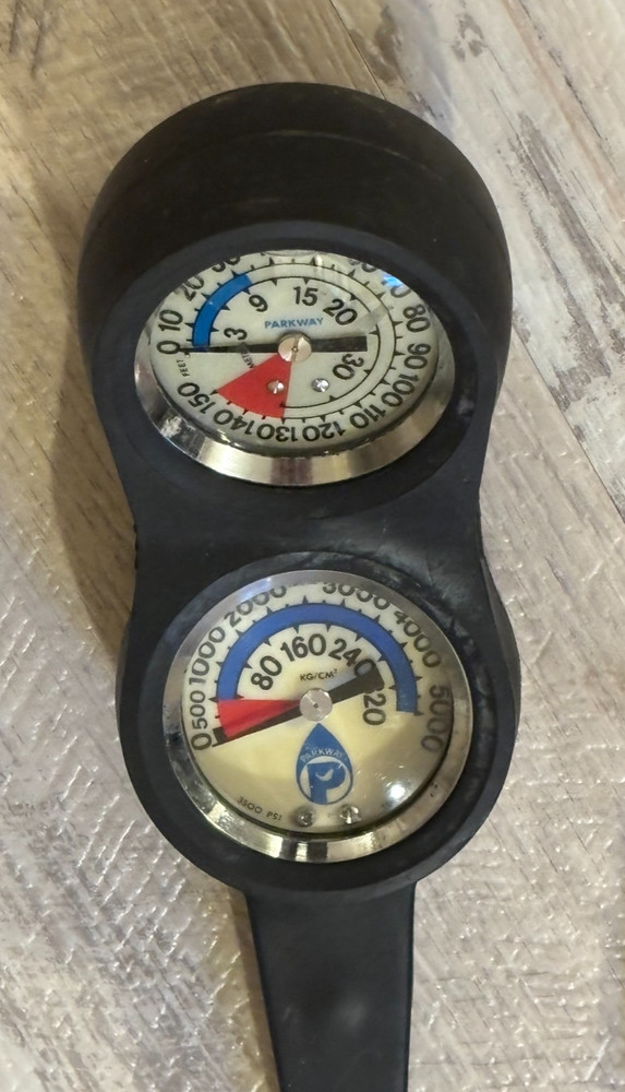 Poseidon Dive Scuba Diving Regulator Set (USED)