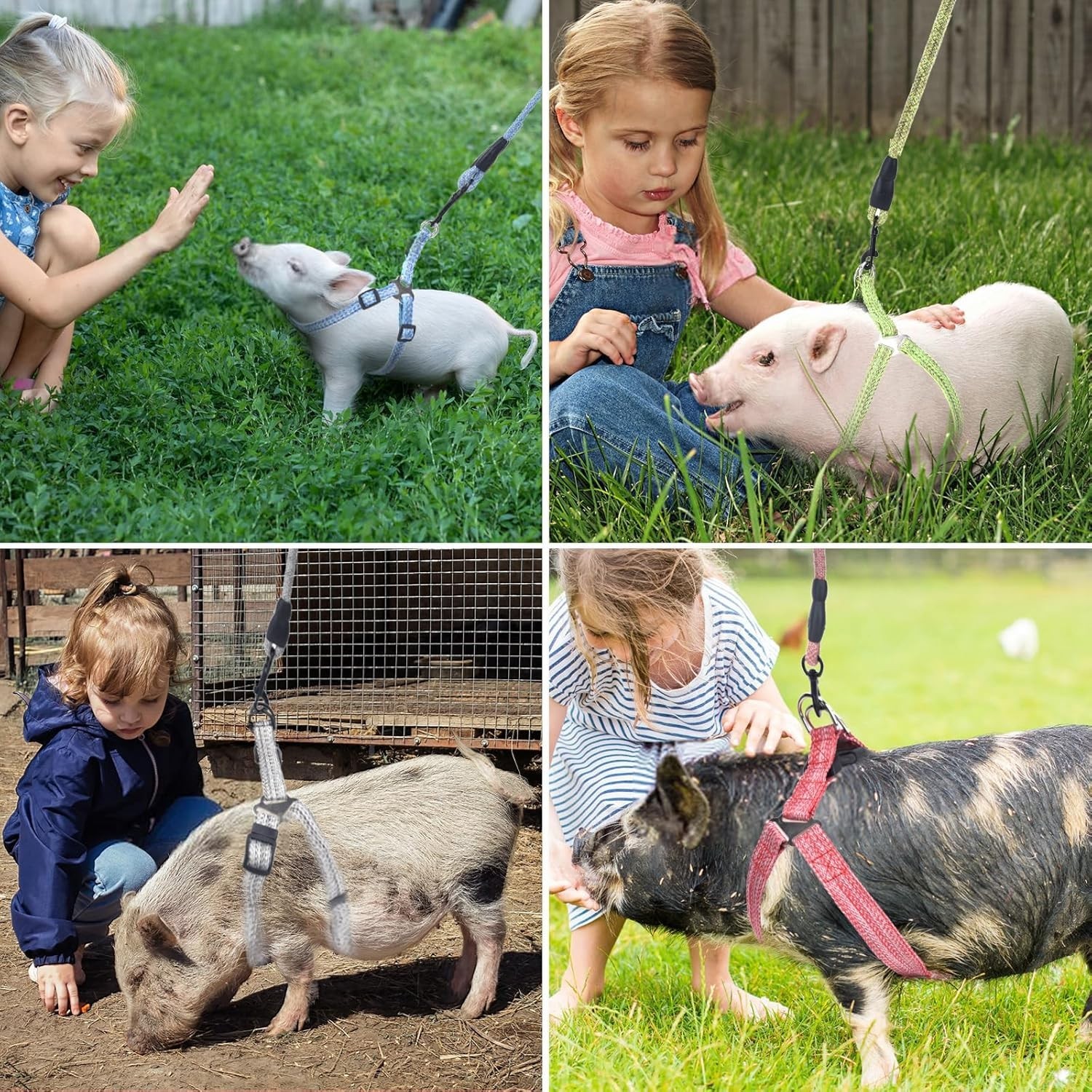 Mini Pig Harness, Adjustable Small Pig Harness with Leash Infinity Style Lead an