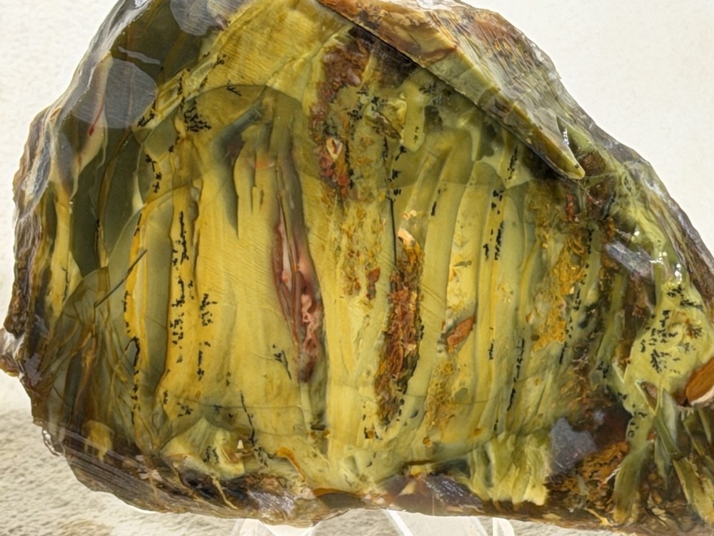 Morrisonite Jasper Slab Set, Lot #11