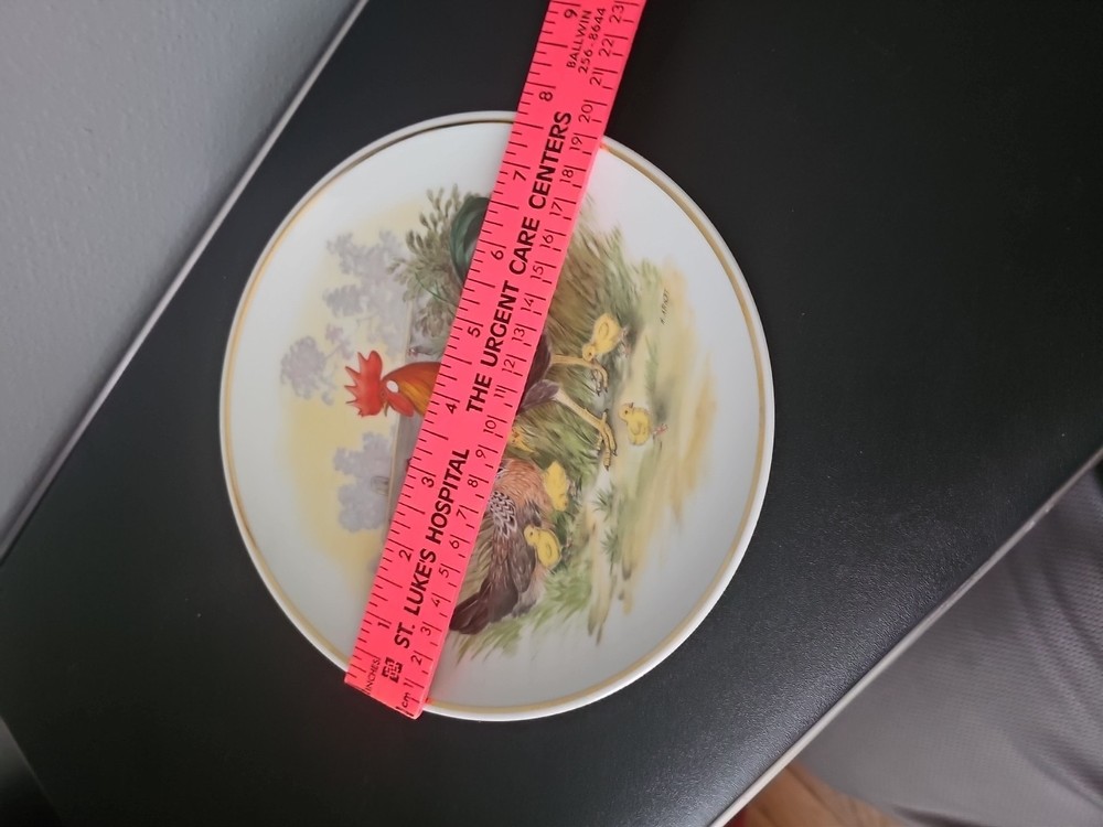 Ceramic Hen Rooster Decorative Plate