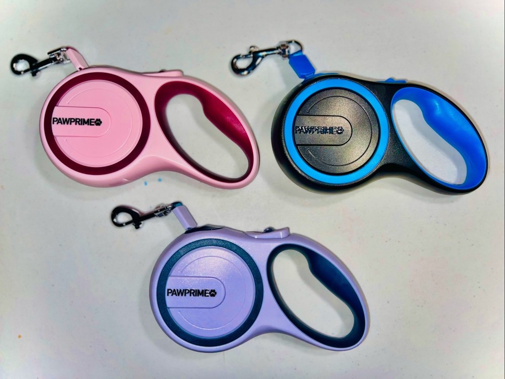 dog collar and leash set
