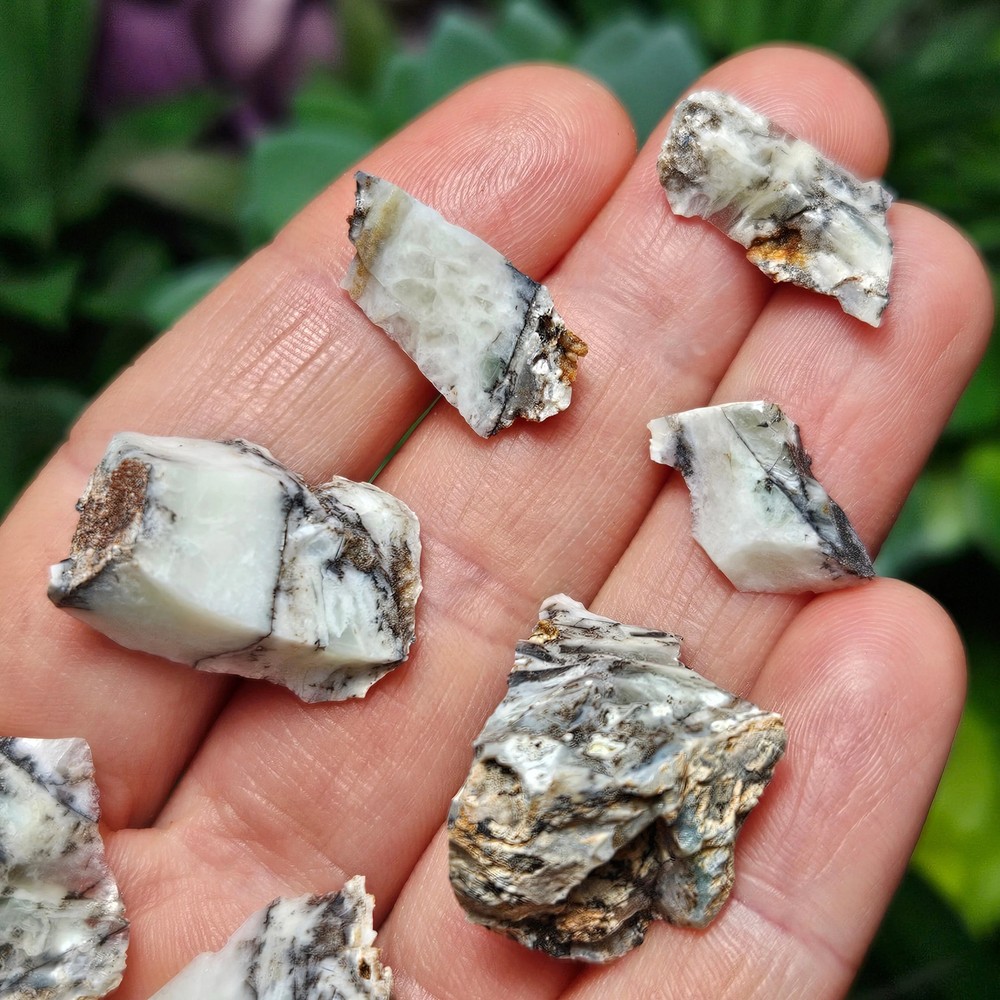 Mount Shasta Opal