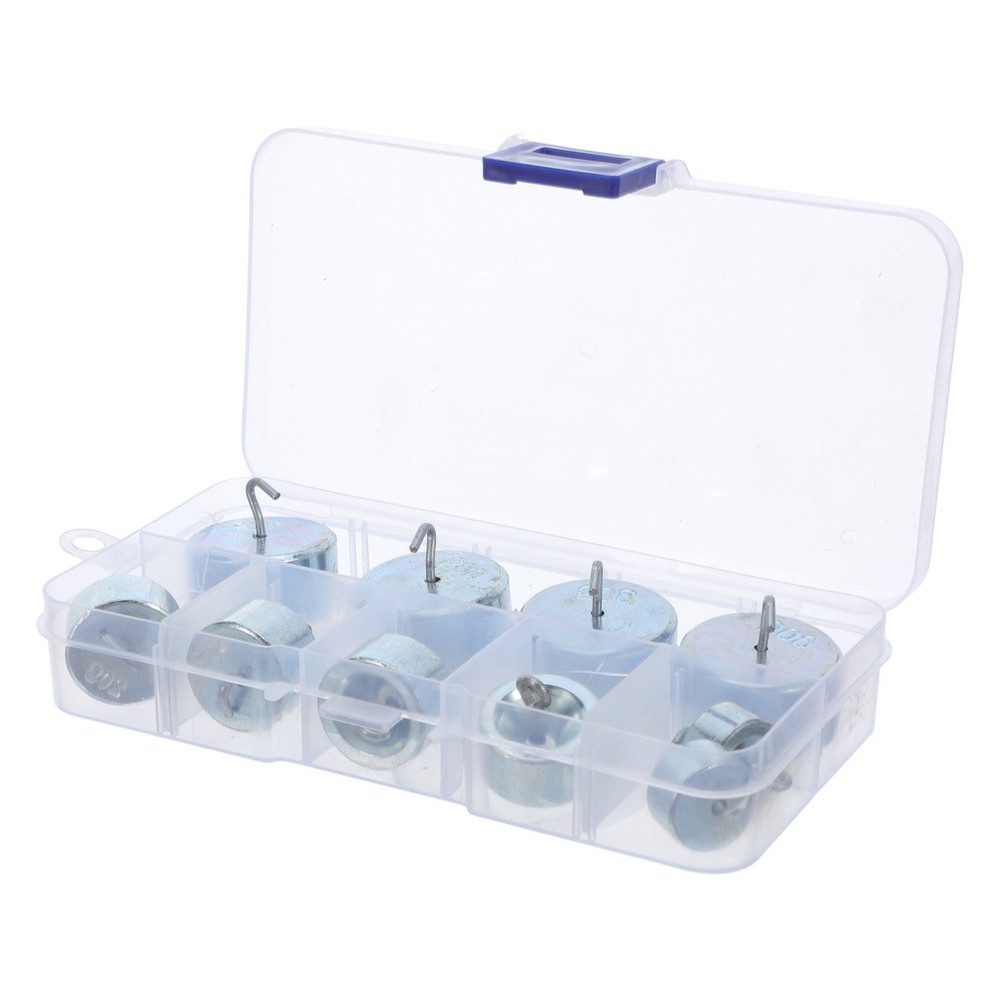 1 Set Hooked Calibration Weights: Total 300g Scale Calibration Weight- Physics