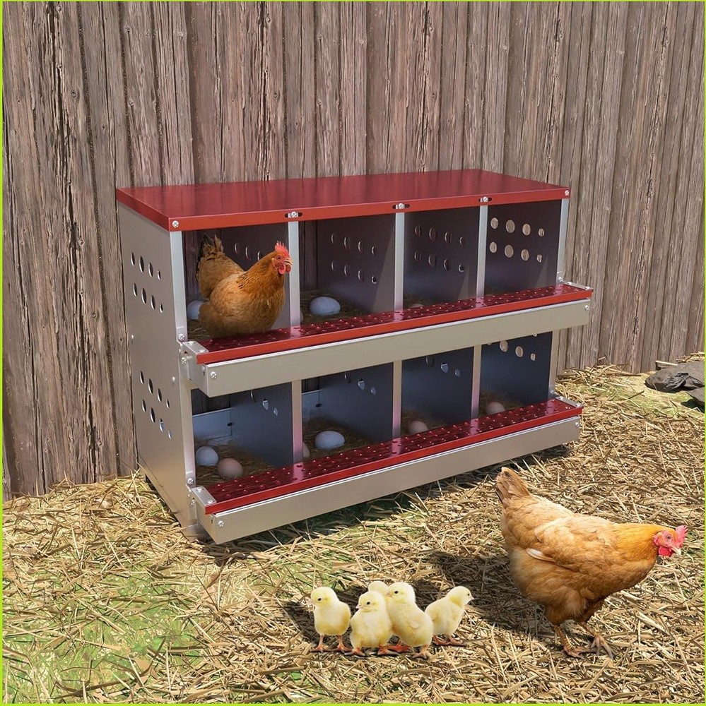 8 Compartment Chicken Nesting Boxes Metal Nesting Boxes Chicken Egg Laying Box