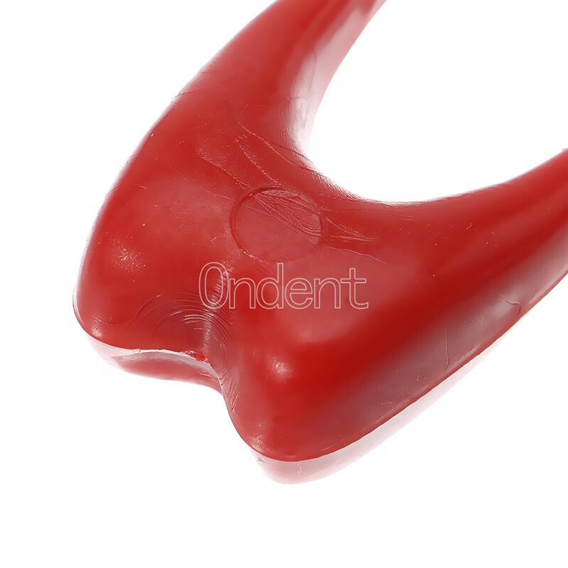 2X Detachable Tooth Model Plastic Teeth Crystal Base Separable Teaching Demo New