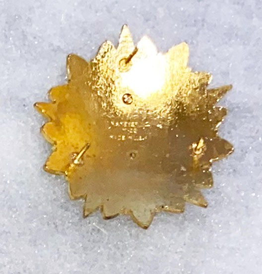 Army General Staff Pocket Badge