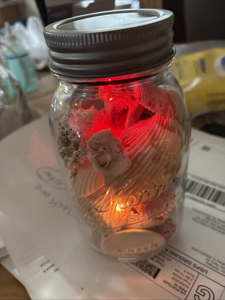 Shells In Lighted Jar