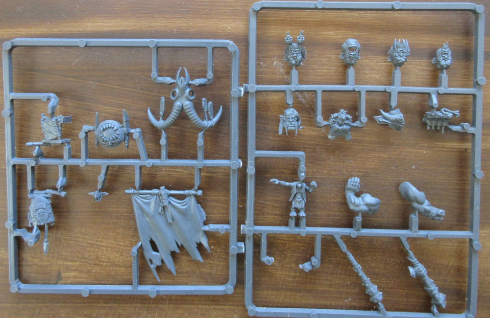 Warhammer Ogre Kingdoms Mawtribes Bulls Command  Sprue