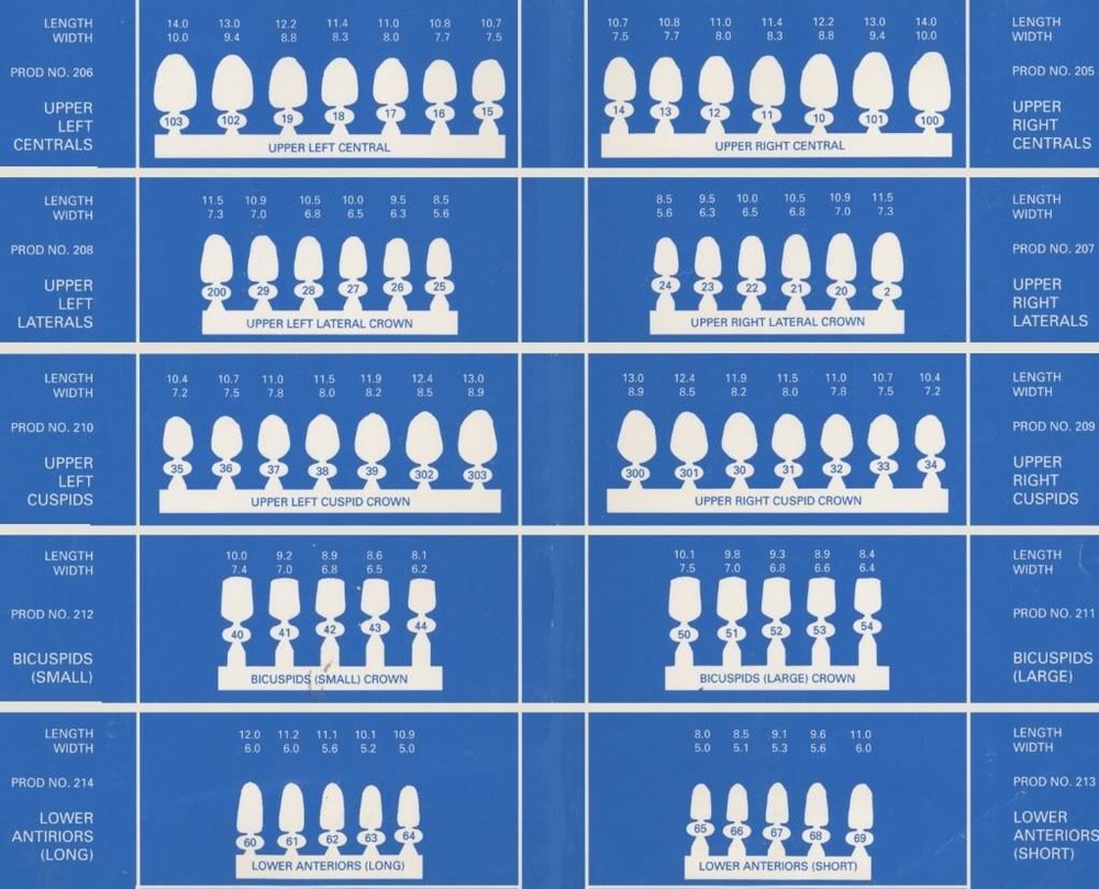 DENTAL POLYCARBONATE TEMPORARY CROWNS #34 (URC) UPPER RIGHT CUSPID 5/PACK