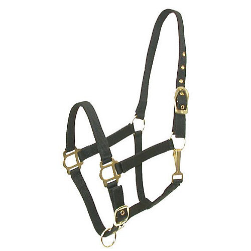 Gatsby Adj Nylon Halter/Snap