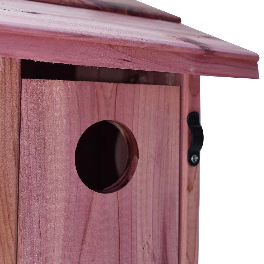 (2 Pack) Red Cedar Bluebird Wild Bird House, 1 Pack