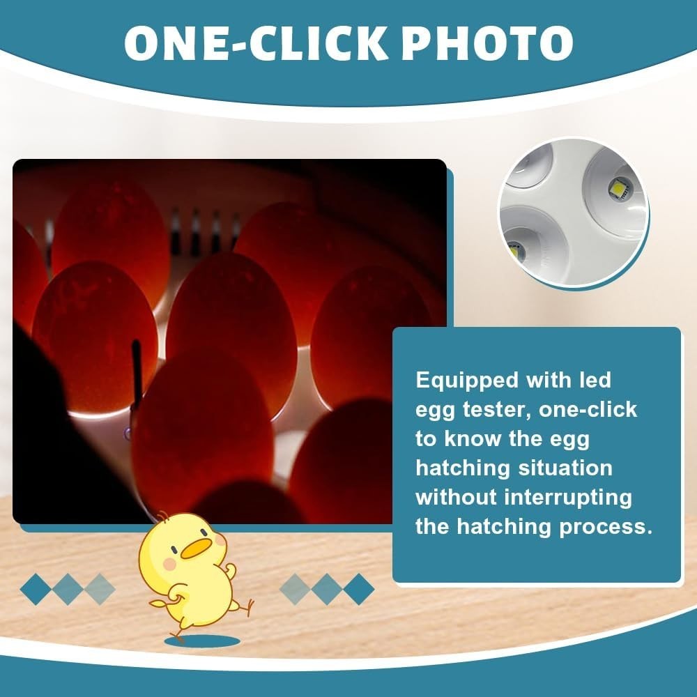 9 Egg Incubator w/ Temperature Control, Touch Operation& Temperature Display