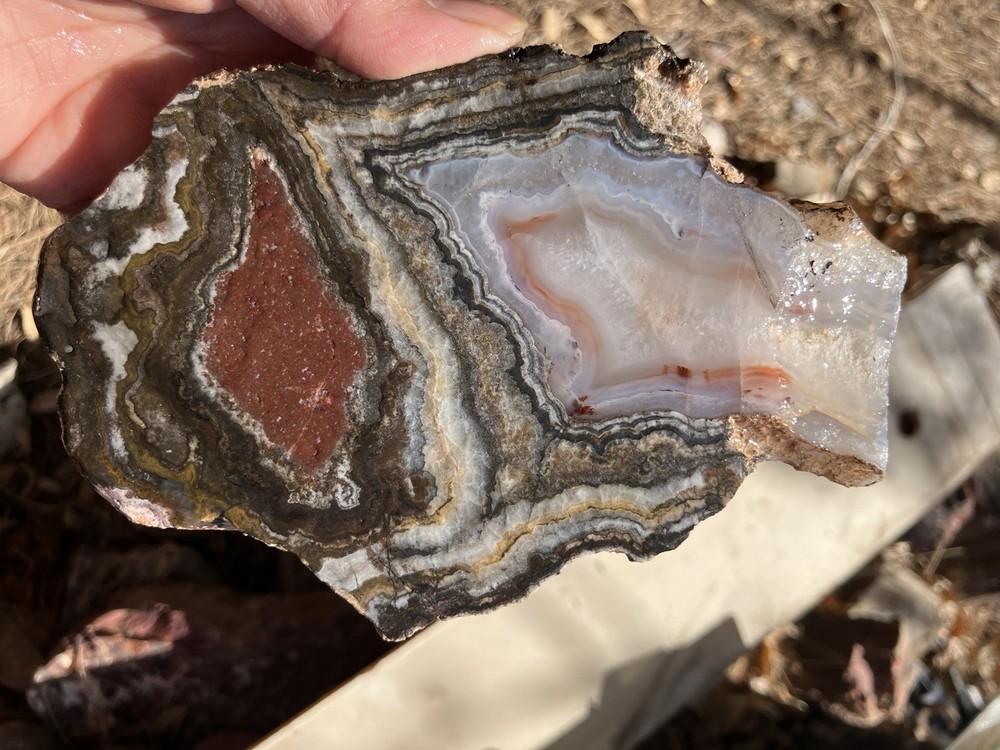Big Diggins Agate Slab (NM)