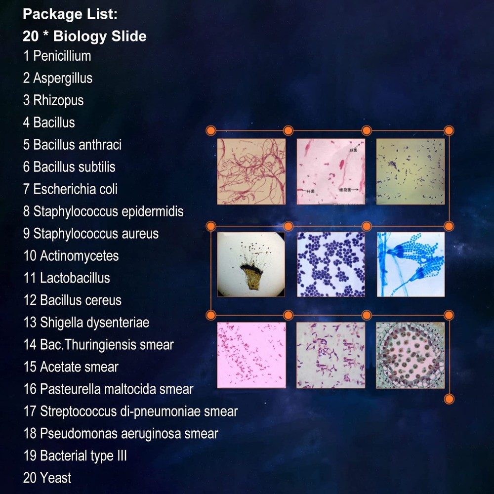 20pcs Microscope Slides Biology And Pathology Prepared Microbiological...