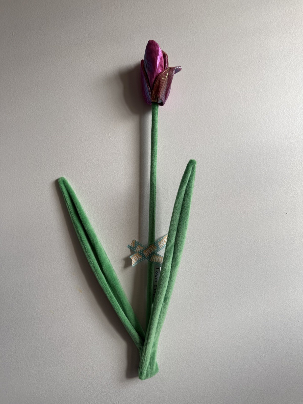 CJ Hendry Flower Shop - Limited Edition Flower of the Day - Iridescent Tulip