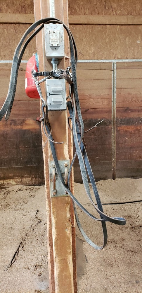 Western leather split reins with a tom thumb bit