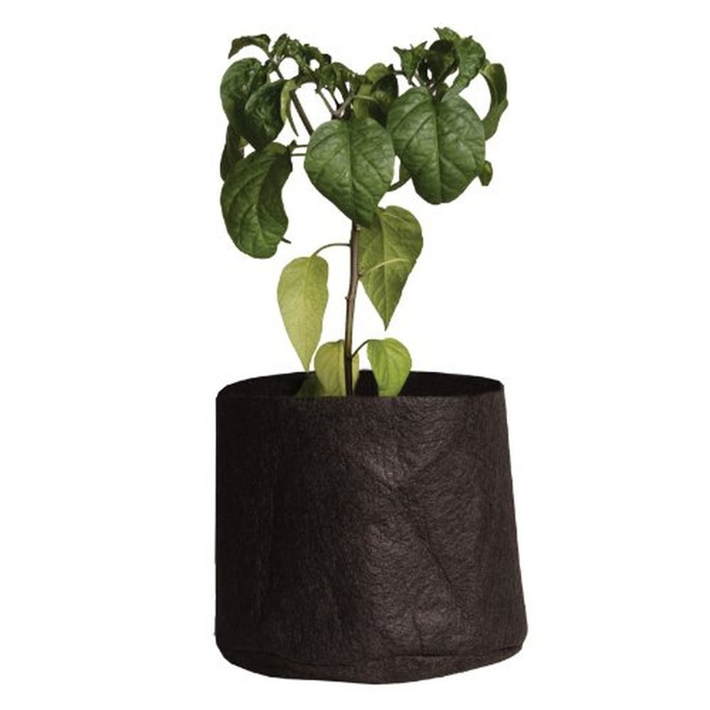 Smart Pots 1-Gallon Smart Pot Soft-Sided Container, Black