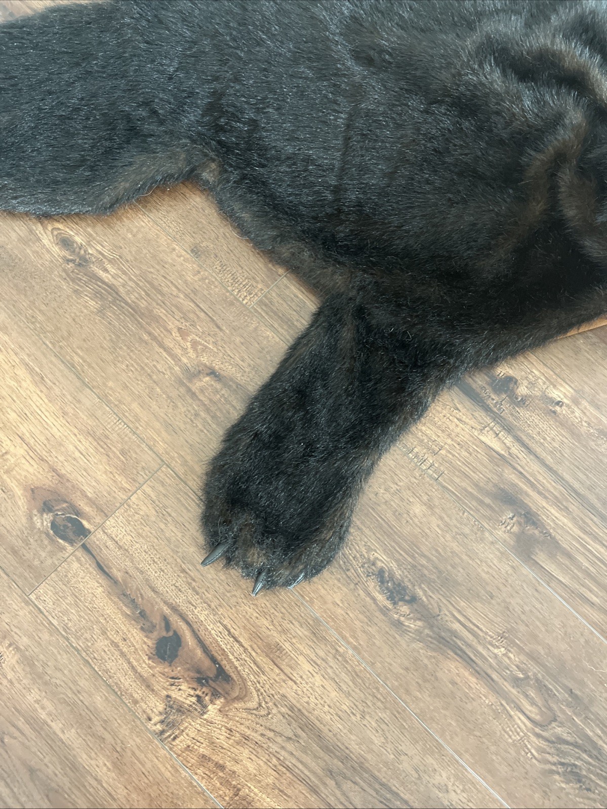 GEMMY Bud The Talking Bear Rug Vintage RARE Battery Powered Tested Working