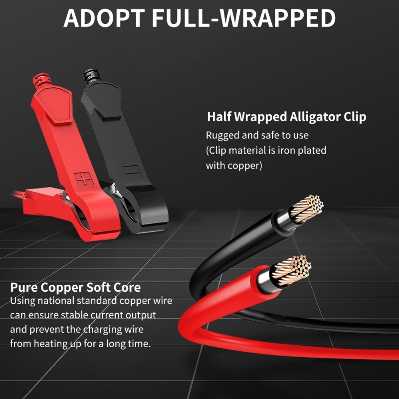 12V 6A Smart Battery Charger w/ Adapter Mode for AGM LiFePO4, Cars,Boat,Truck