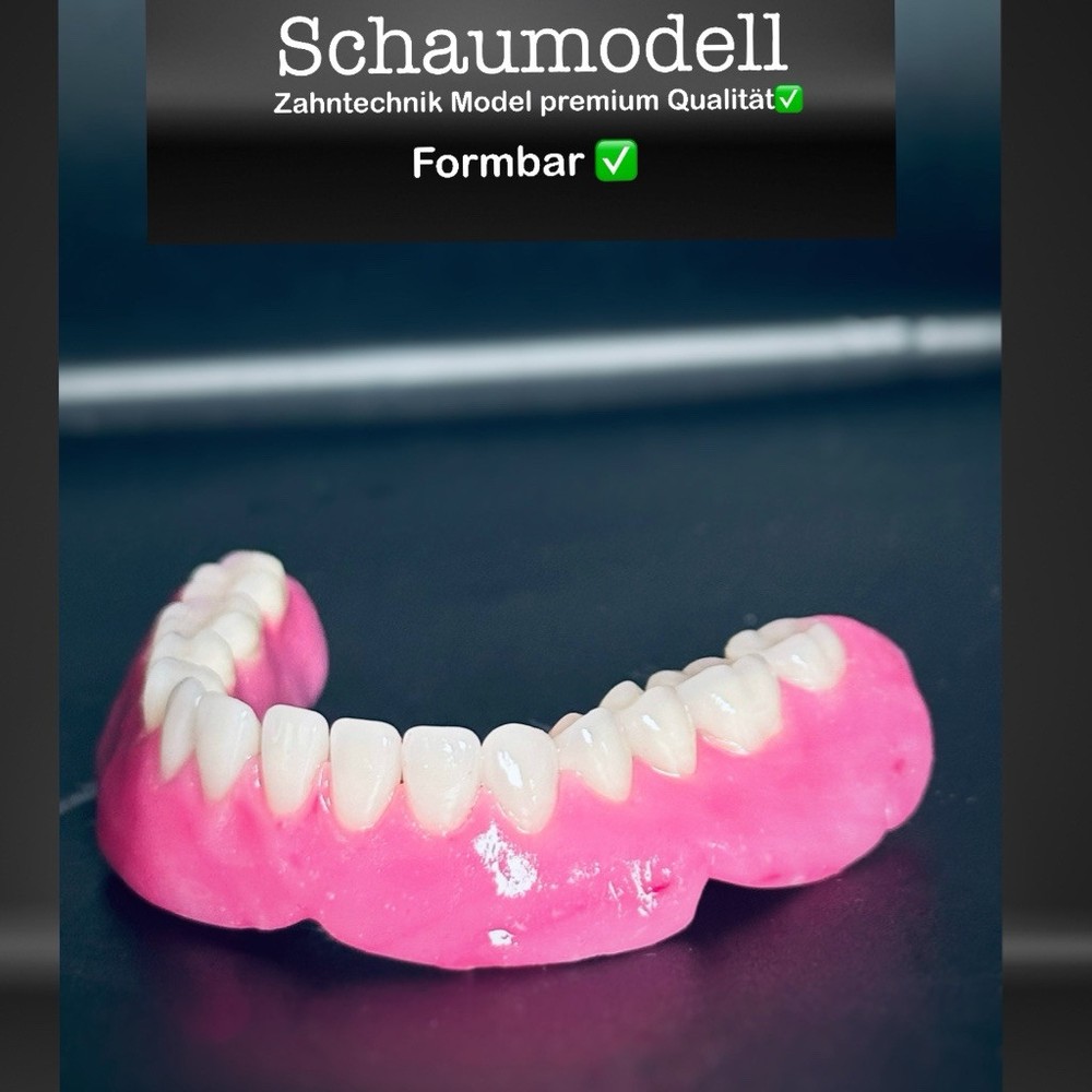 Foam model, teaching model prostheses model dental technology model, tooth