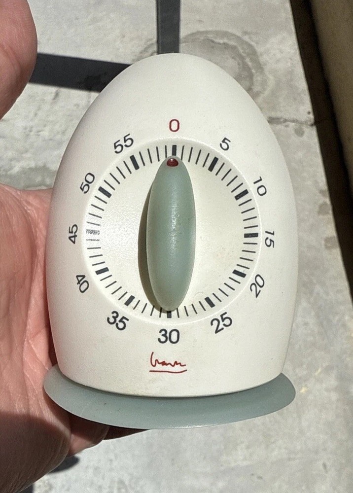 Rare Michael Graves 60 minute Egg Timer with suction cup mount base
