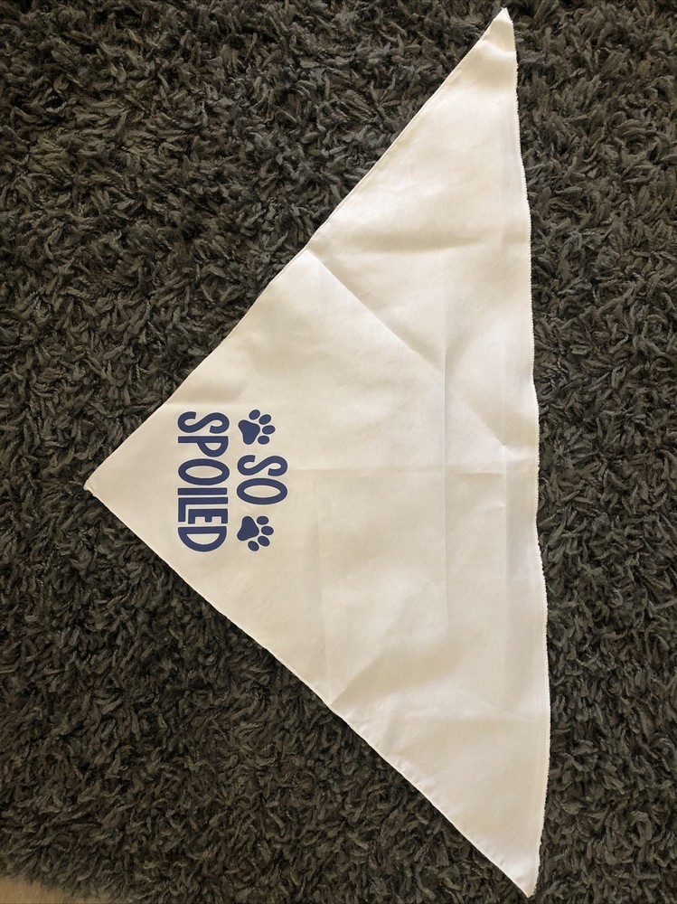 dog bandana tie on