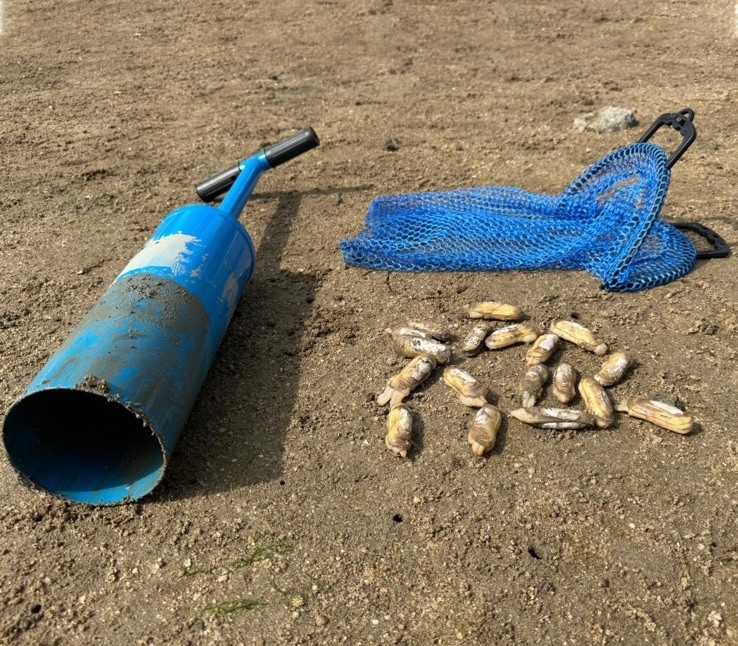 Clam Gun with Clam Bag
