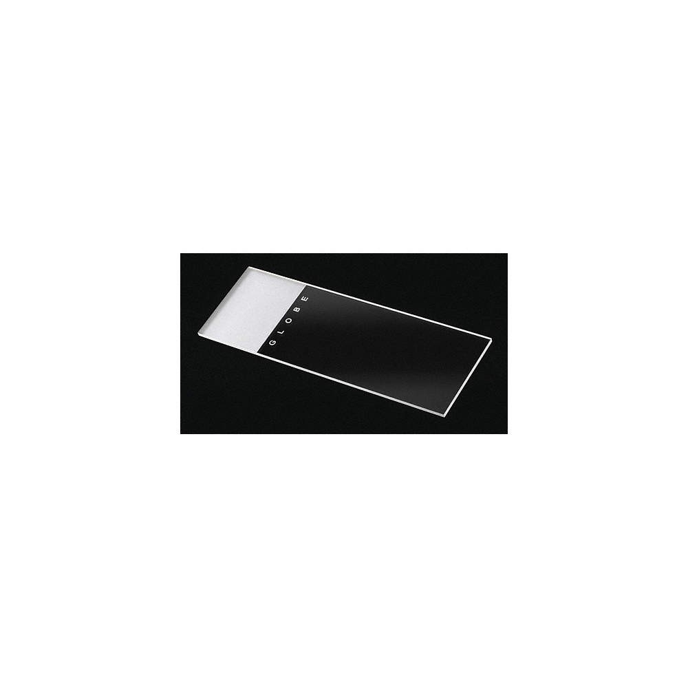 GLOBE SCIENTIFIC Microscope Slide,Clear/White,PK144 46AW54