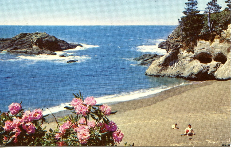 PACIFIC OCEAN SEACOAST - PC1054