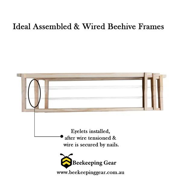 Ideal Assembled & Wired Beehive Frames NZ Pine — Save When Buying In Bulk