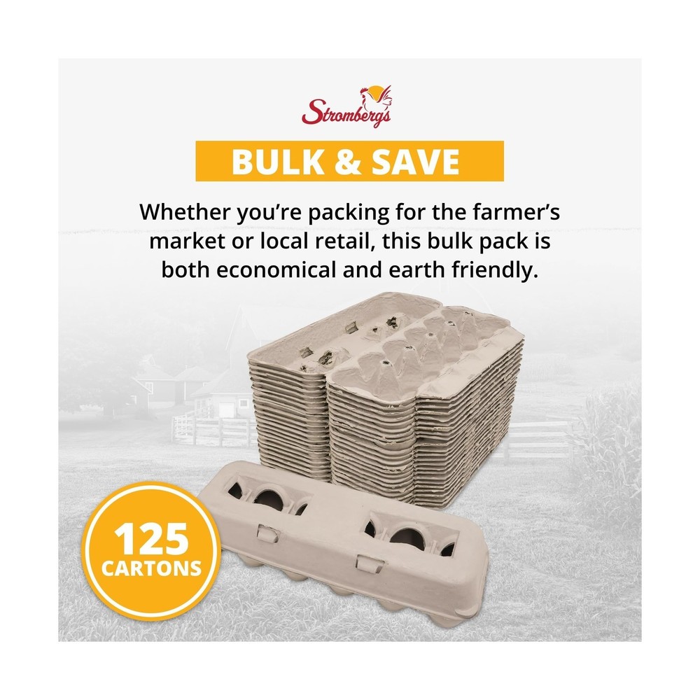 Stromberg's Large Blank Egg Cartons, Bulk Pack for Large Eggs, Perfect for Cu...