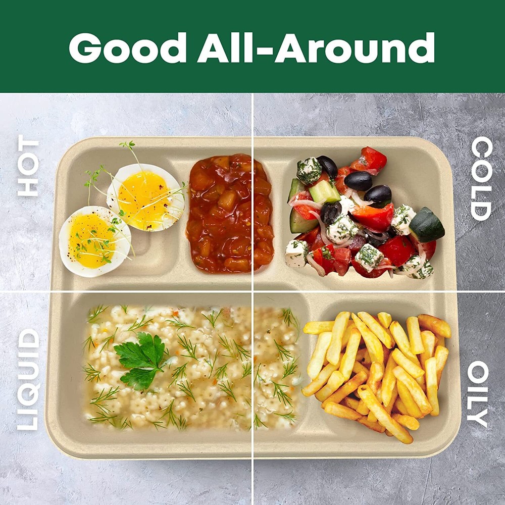 5 Compartments Bagasse Rectangular Tray Compostable Biodegradable With Lids