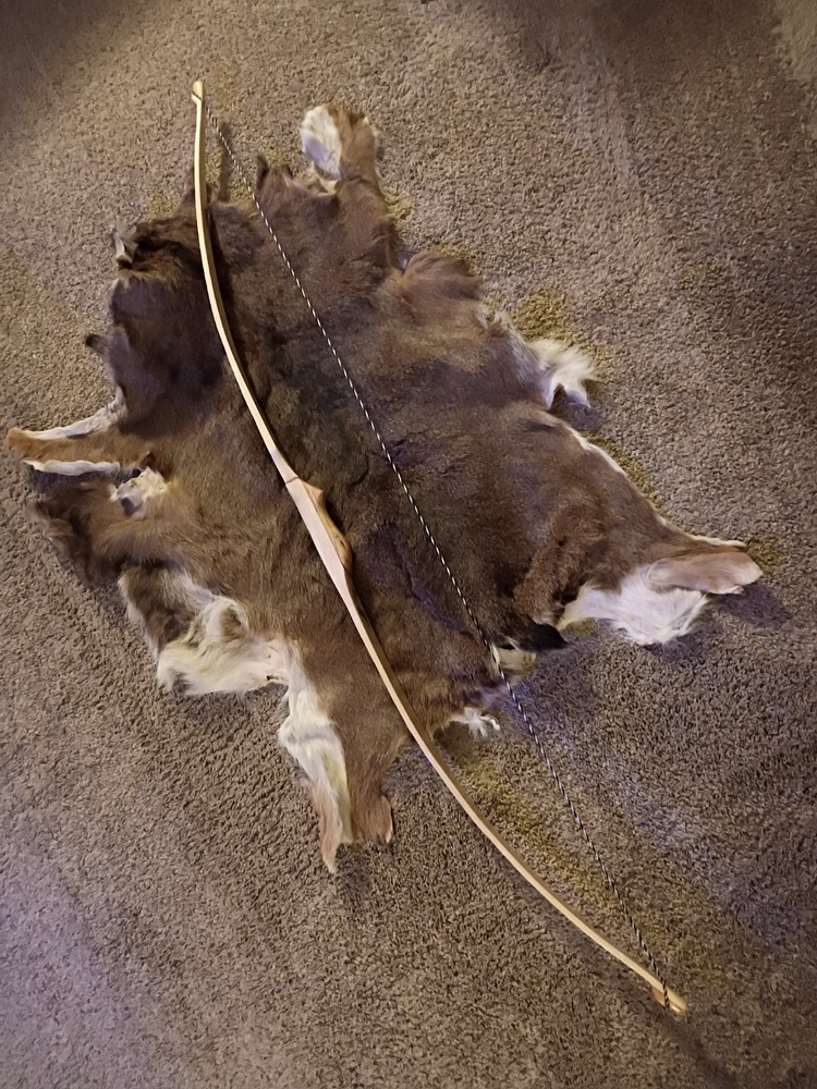 American Flatbow "Barn Owl"🦉