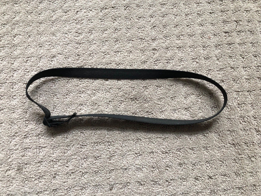Nordic Track Walkfit    Drag strap