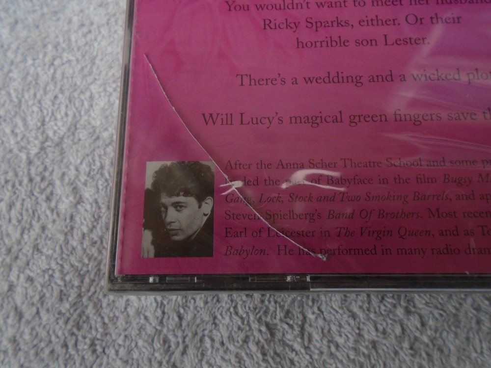 Sally Gardner - Lucy Willow (Audiobook CD)