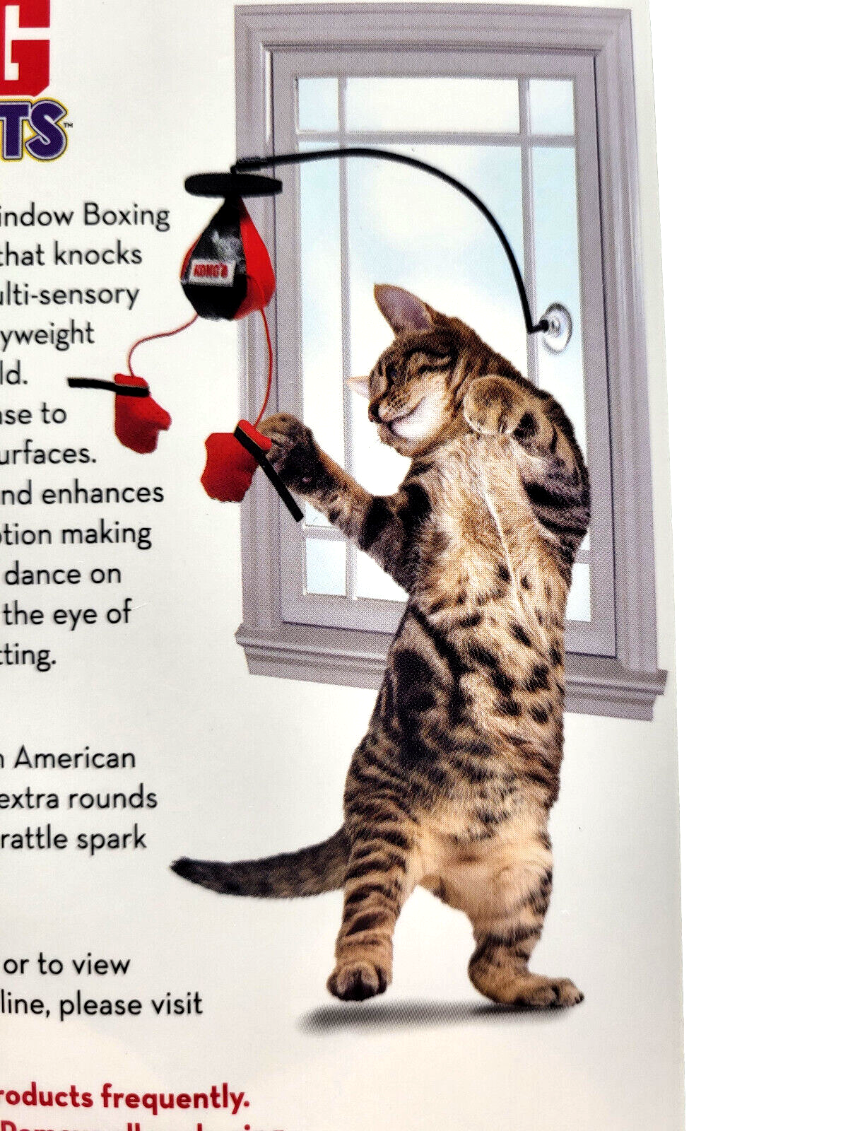 KONG Connects Boxing Punching Bag 12" Interactive Bat A Bout Catnip Cat Toy