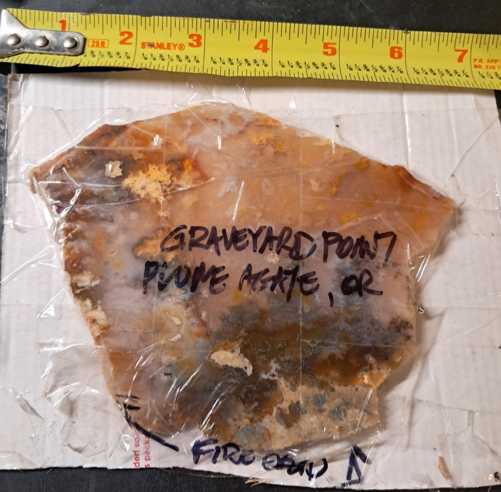 Graveyard Point Plume Agate Slab Oregon