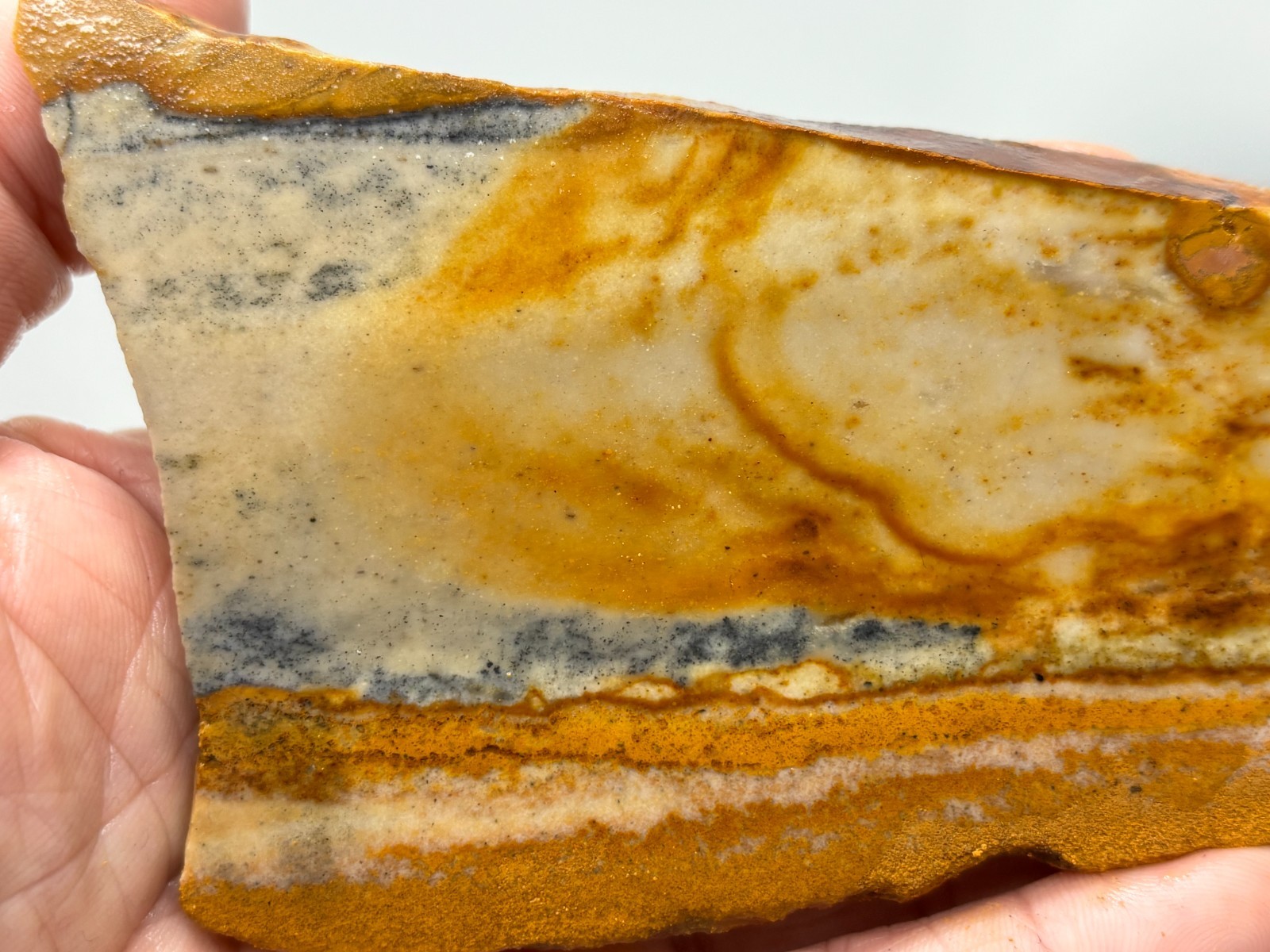 Disaster Peak Picture Jasper Slab Cabbing Lapidary Collecting Combo Ship Avail