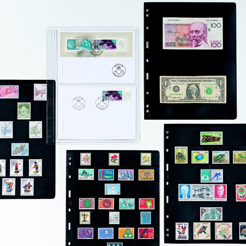 Lighthouse Vario-F 3-Ring Binder with Slipcase - BROWN 325853