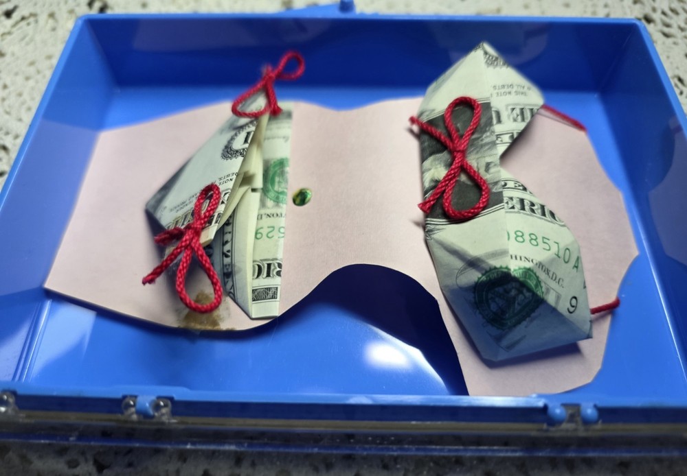 Oragami Bikini Made With Dollar Bills
